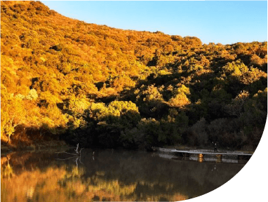 Naturaleza